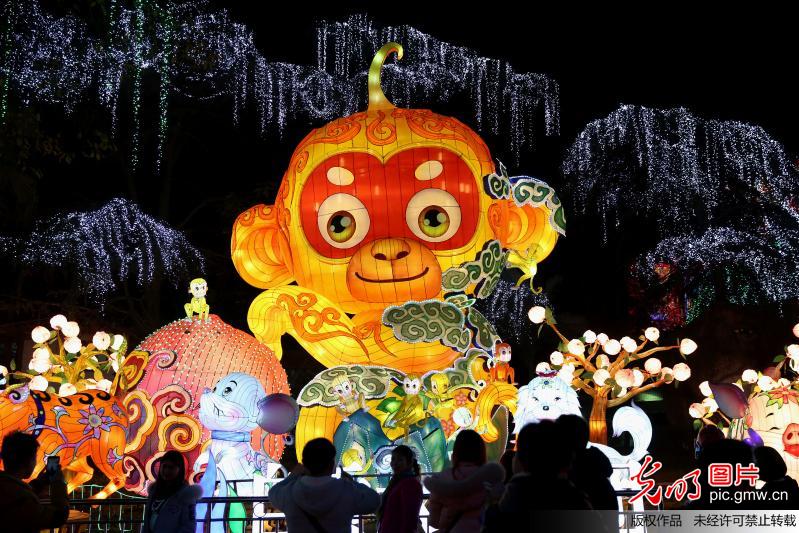 自贡灯会醉游人(2)