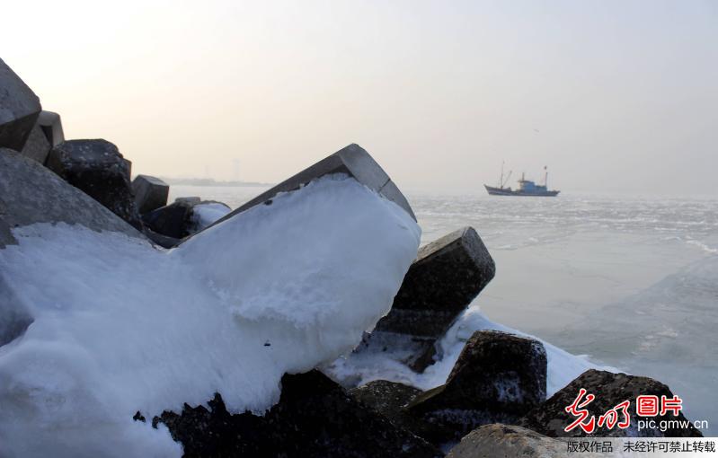 山东烟台海冰影响持续 数百渔船岸边停泊