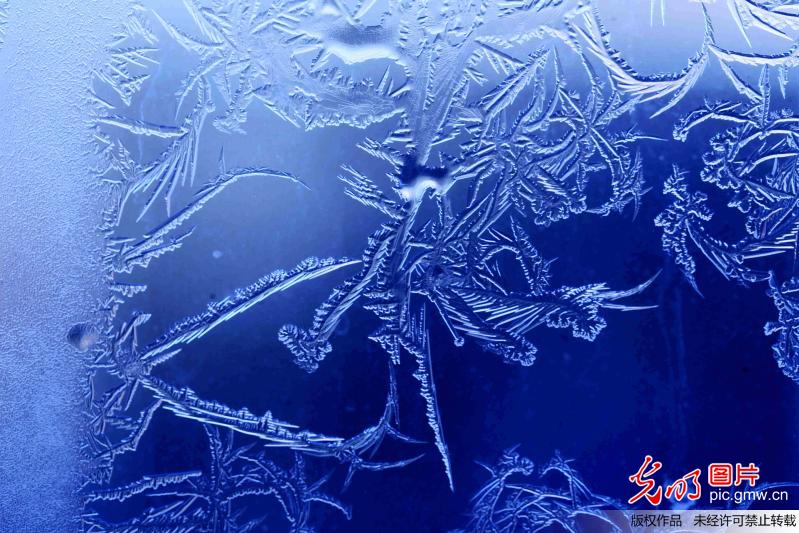 黑河极寒现奇幻冰窗花