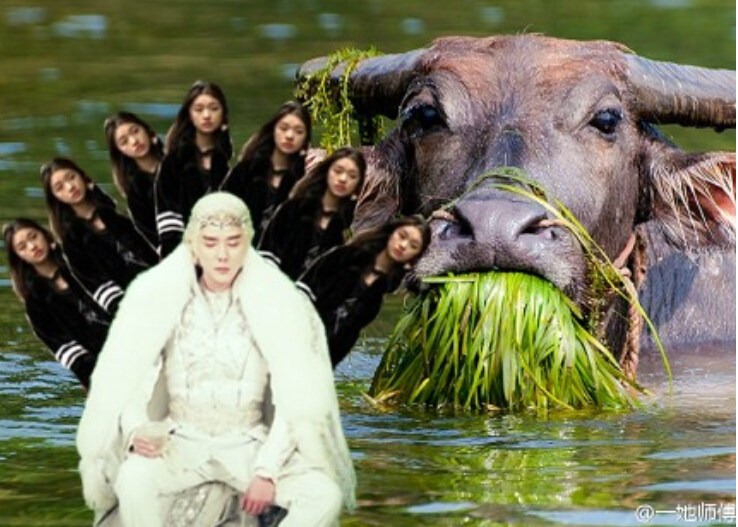 冯绍峰发剧照求PS未回应恋情 网友搞笑回复(2