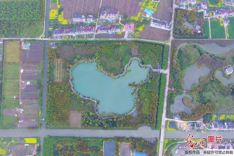 上海人工湖惊现"中国地图" 鬼斧神工让人称奇图片