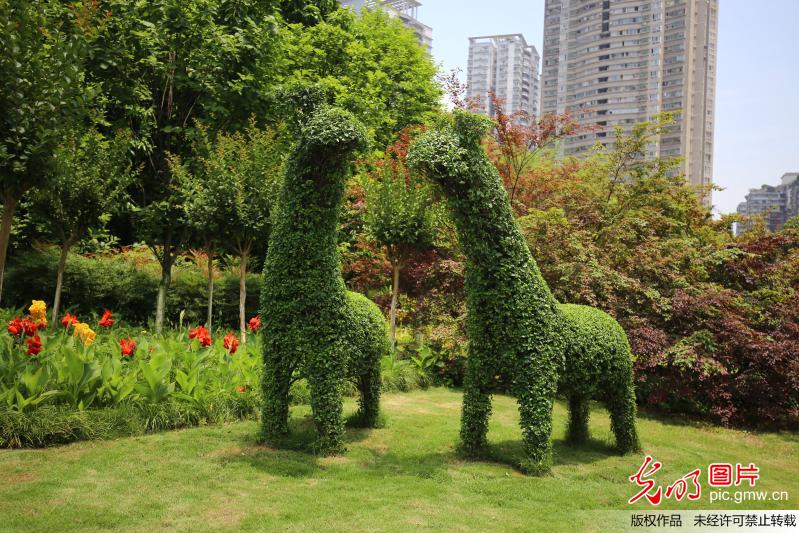 重庆动物园现创意草坪艺术 植物也能变"动物"