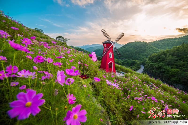 【光明图集】光明图片一周精选6.06-6.12(4)