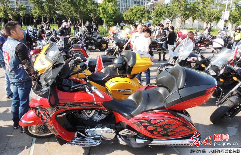 近千辆世界顶级摩托车骑聚连云港(2)