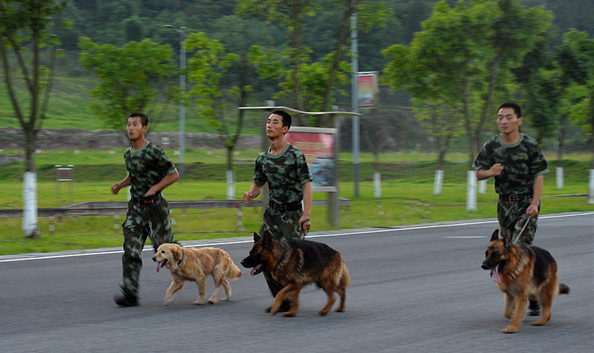 武警重庆总队警犬班:萌犬叼水管帮主人洗头