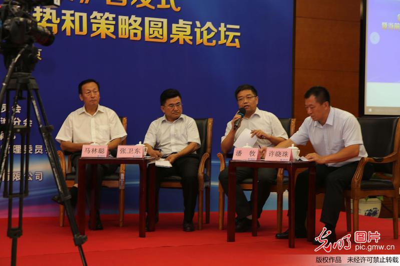 "当前中国氢能产业面临的形势和策略圆桌论坛"在京举行