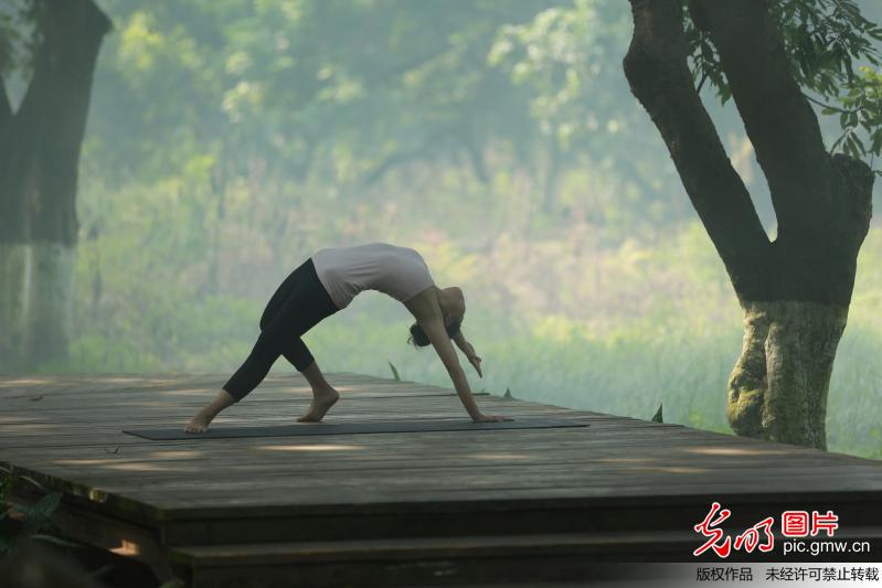 四川泸州连续高温 美女林中练瑜伽变身"林美人"