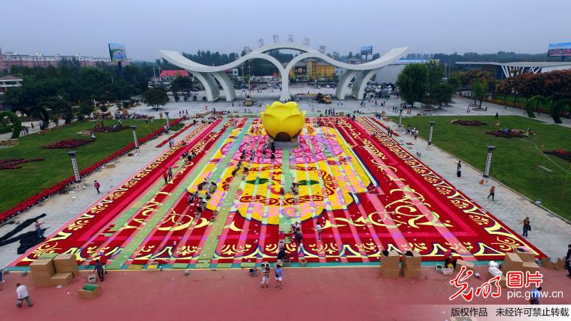 河南鄢陵:300万株鲜花打造巨型地毯 迎中原花木交易博览会