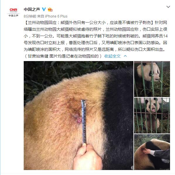 兰州动物园回应