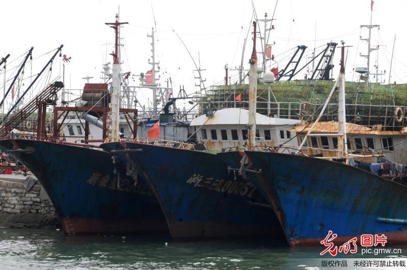 连云港数千艘渔船回港避台风海马(3)_焦点 _