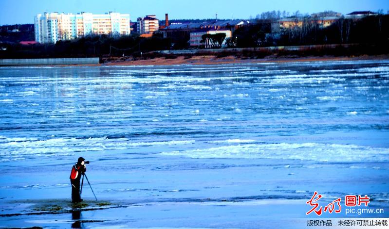 金世豪国际: 中俄界江黑龙江黑河段现大面积流冰景观