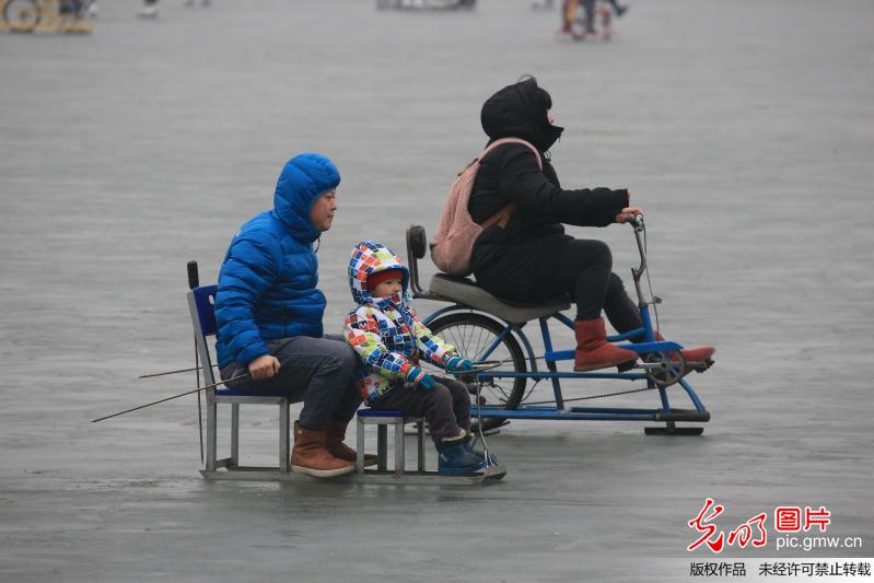 北京什刹海冰场欢乐开滑(3)