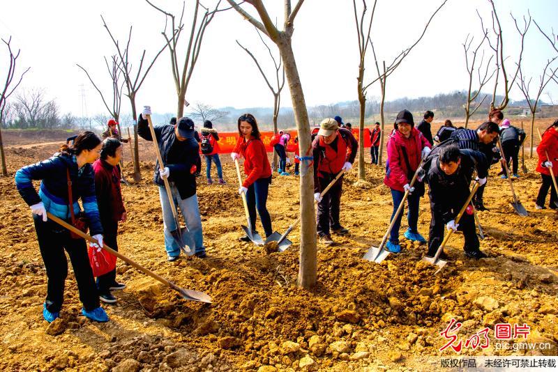 【光明图刊】植树节 共赴一场春天的约会