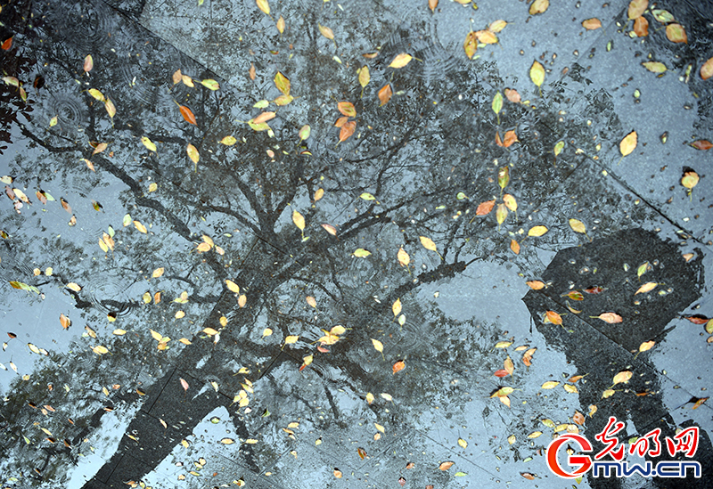 2017形象中国百家媒体聚焦绿色衢州优秀摄影