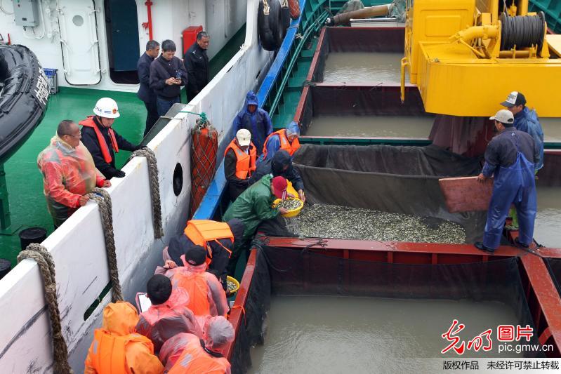 南通举行今年首次增殖放流 500万尾大黄鱼苗投放南黄海 南通举行今年首次增殖放流 500万尾大黄鱼苗投放南黄海