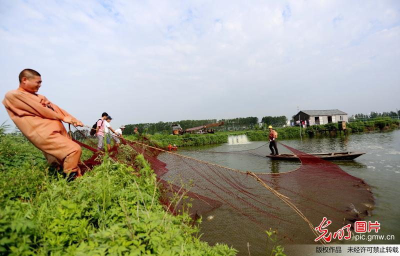 江苏东海:渔业丰收 渔民致富