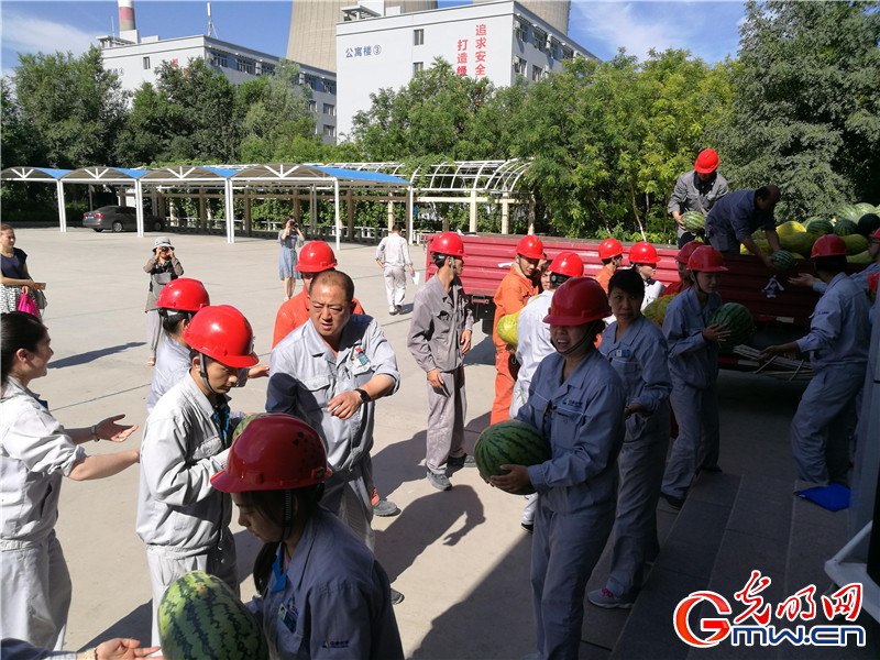 42328中泰化学企业职工搬西瓜