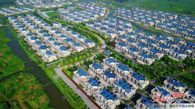 江苏省太仓市沙溪镇化肥新村属于哪个村委会