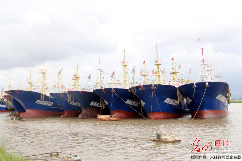 浙江温岭:防御台风泰利 渔船安全驶入避风港