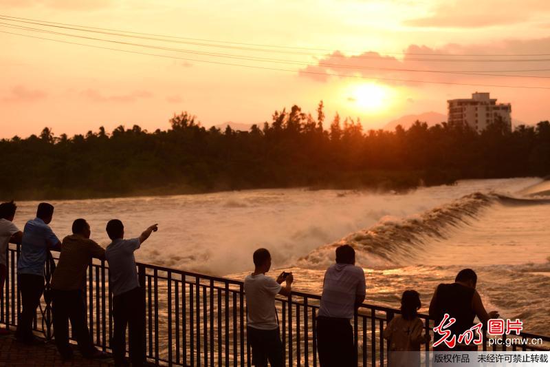 台风 卡努 登陆在即 海南万泉河削峰迎汛(3)