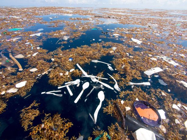 洪都拉斯“塑料海洋”触目惊心 画面令人作呕(2)_奇闻趣图 _光明网
