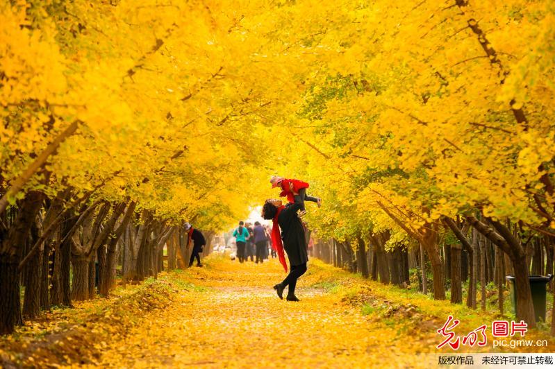 【光明图集】一周图片精选20171023-1029