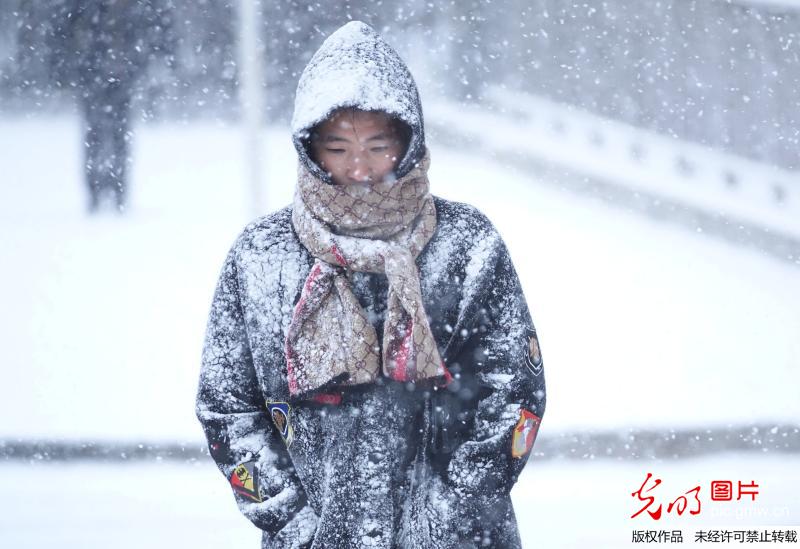 大连迎来2017年冬季首场大雪