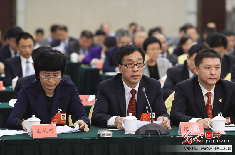 河北代表团审议国务院机构改革方案