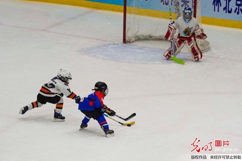 2017-2018北汽集团杯北京市少儿冰球联赛