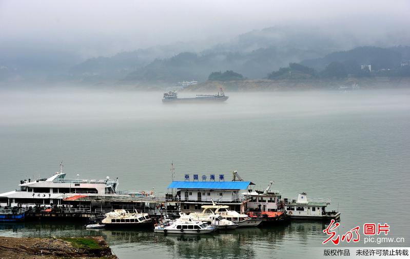 三峡水库启动第11次生态调度试验