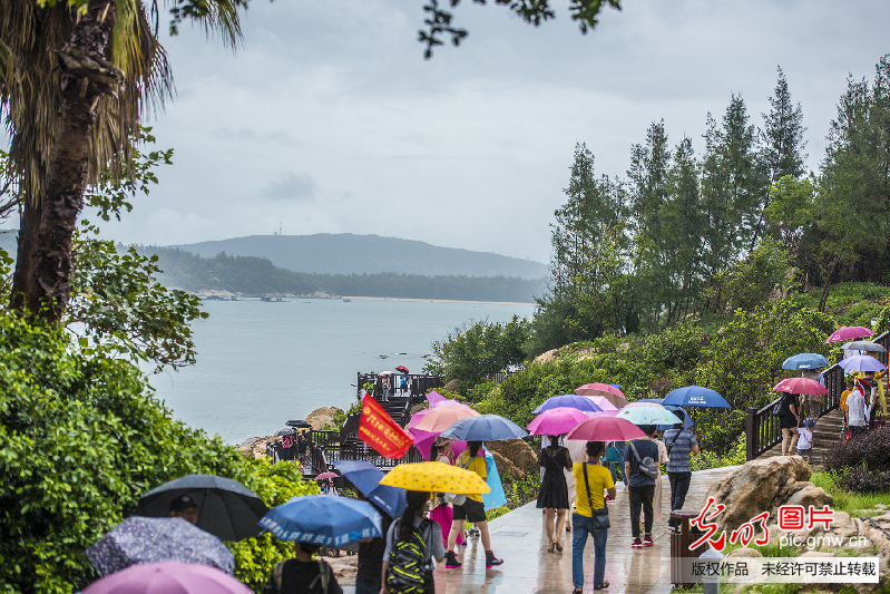永驻绿色丰碑 海上东山美丽岛
