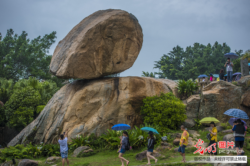 永驻绿色丰碑 海上东山美丽岛