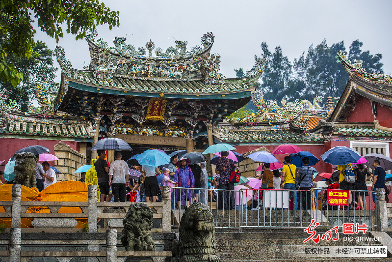 永驻绿色丰碑 海上东山美丽岛