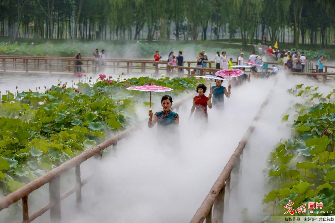 第十五届中国(滕州)微山湖湿地红荷节开幕
