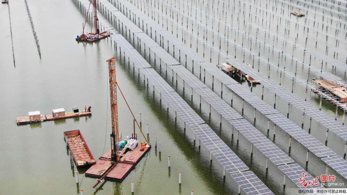 江苏泗洪50万千瓦渔光互补项目月底并网发电