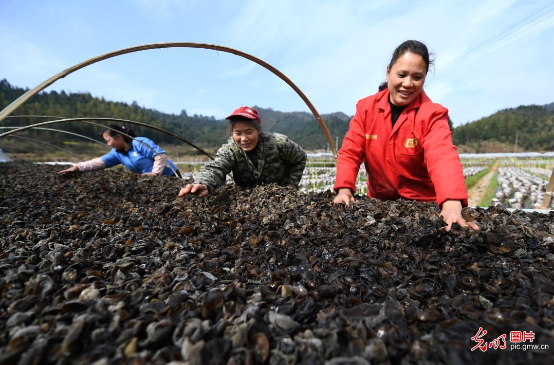 江西新余特色产业助脱贫