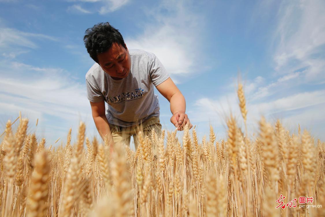 河南省宝丰县gdp_河南省宝丰县地图高清(3)