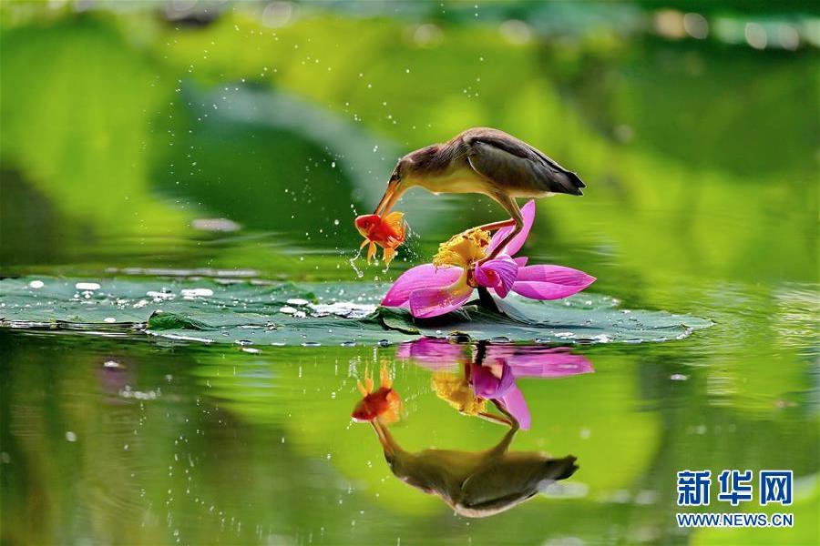 “数字故宫”发布7款数字产品