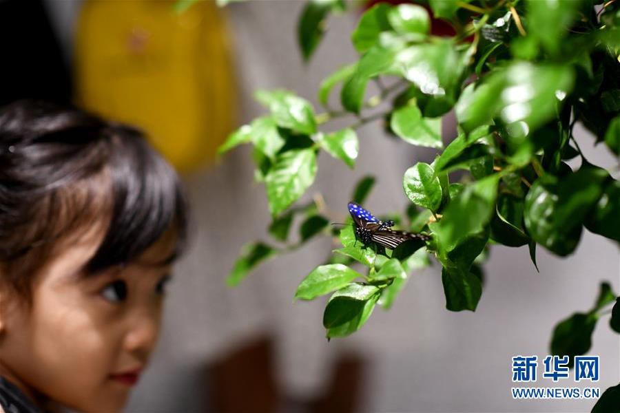 “数字故宫”发布7款数字产品