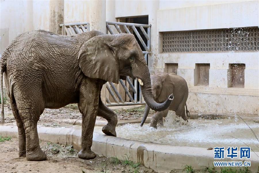 暑期学非遗 快乐又充实