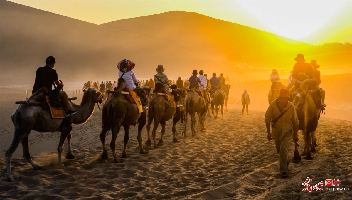 千人骑骆驼游大漠