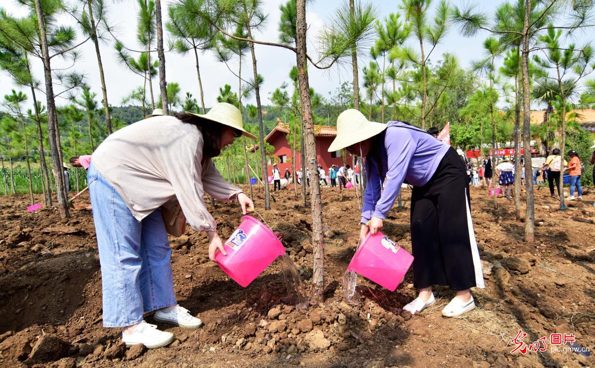 云南弥勒:开展"状元林"植树活动