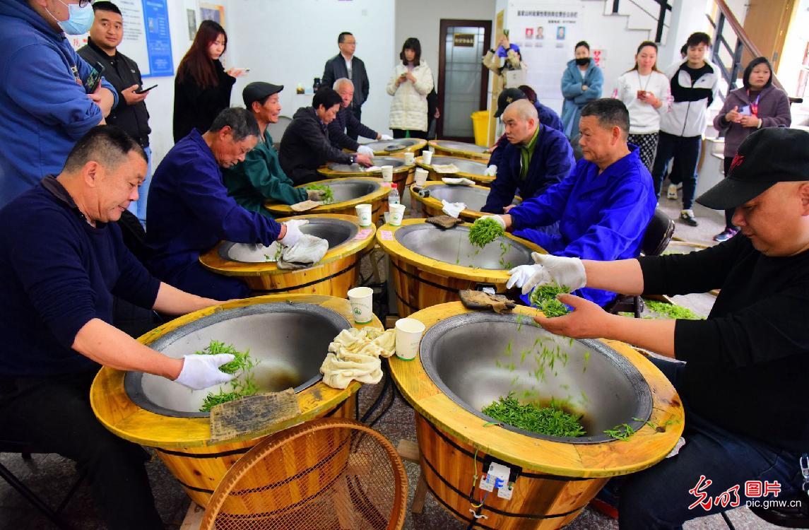 浙江杭州西湖龙井头茶开采体验传统手工炒茶