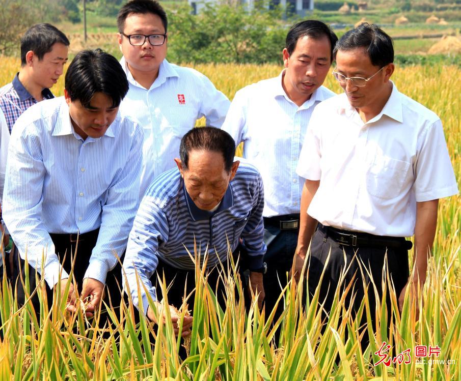 光明图刊追怀杂交水稻之父袁隆平