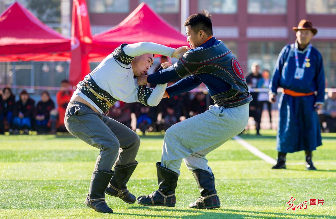 内蒙古自治区学生搏克赛在呼和浩特开赛
