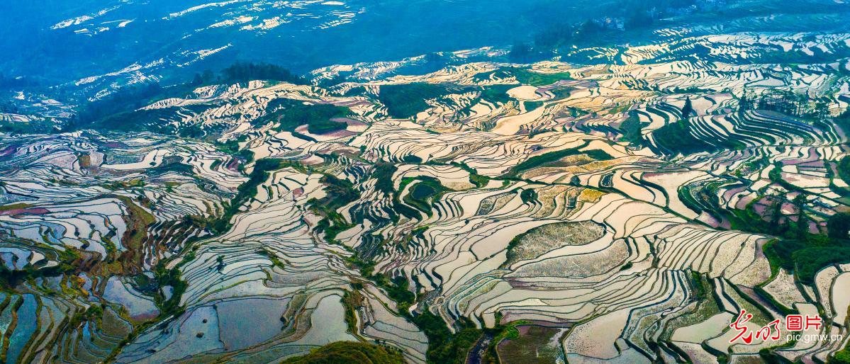 红河哈尼梯田大地的肌理