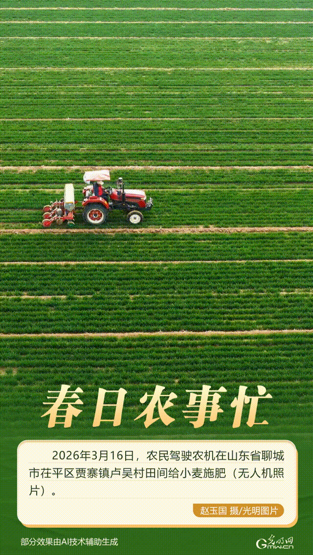 【AIGC动图】抢抓农时忙春耕