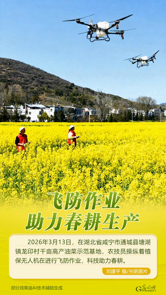 【AIGC动图】抢抓农时忙春耕