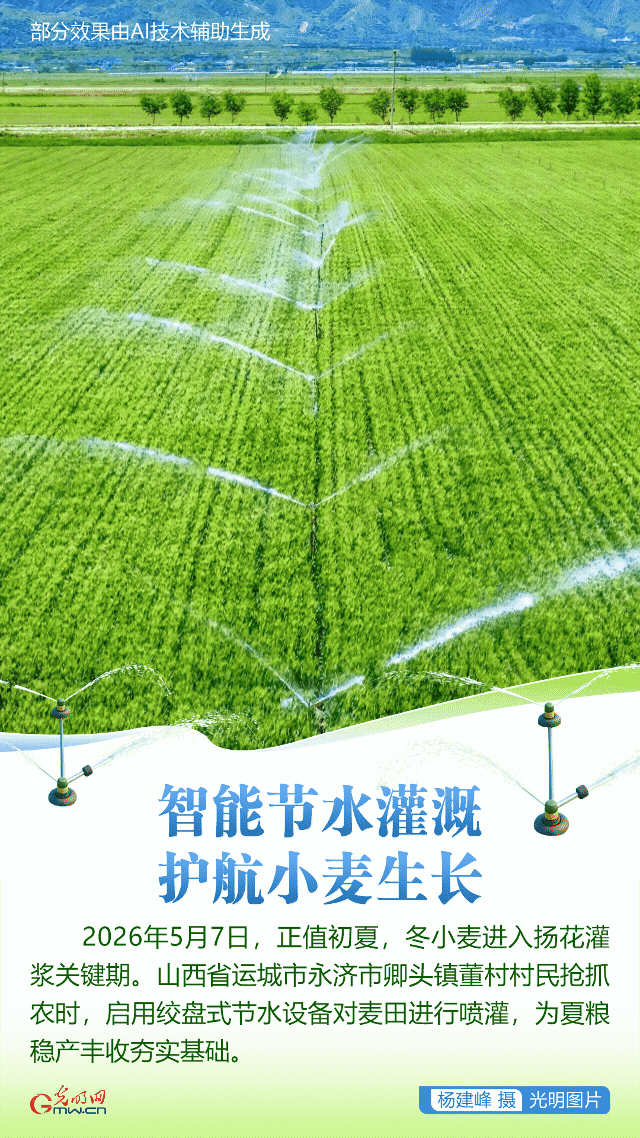 【AIGC动图】科技润沃土 新农人绘就农耕新篇 【AIGC动图】科技润沃土 新农人绘就农耕新篇