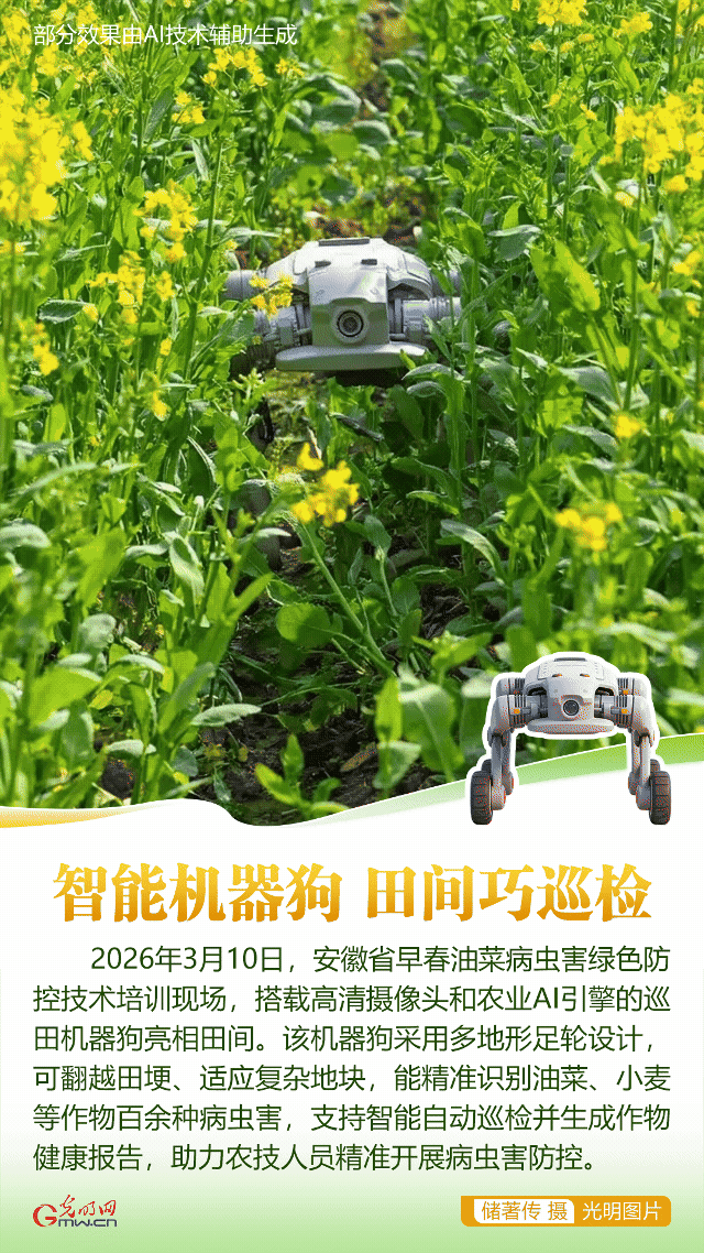【AIGC动图】科技润沃土 新农人绘就农耕新篇 【AIGC动图】科技润沃土 新农人绘就农耕新篇